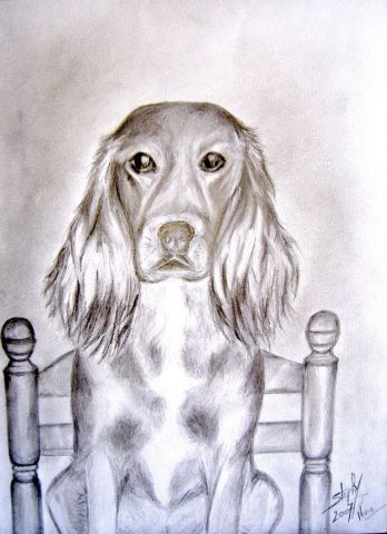 animal mon chien nina